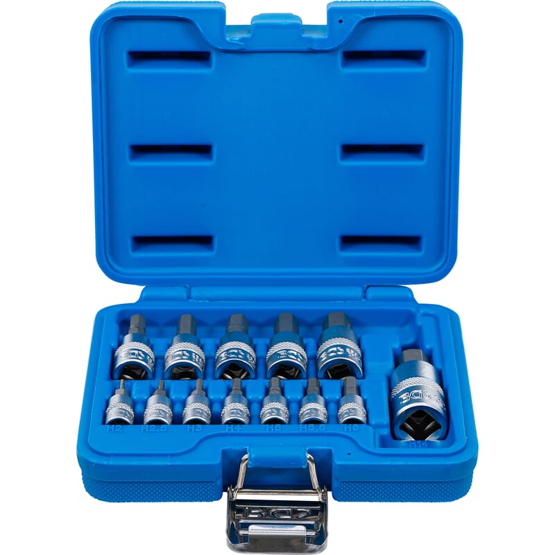 BGS 74257 Bit Socket Set, 6.3 mm (1/4) / 10 mm (3/ 8") / 12.5 mm (1/2") Drive, Internal Hexagon 2 - 1