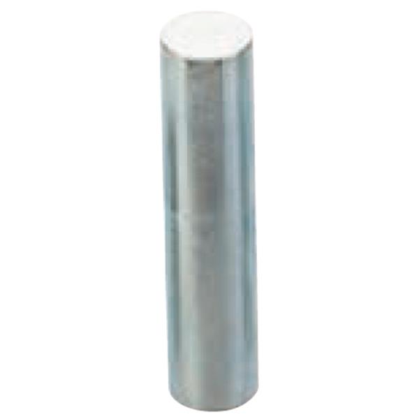 Vigor V4699-5 Press-Achse 85 x Ø 19mm für V4699 