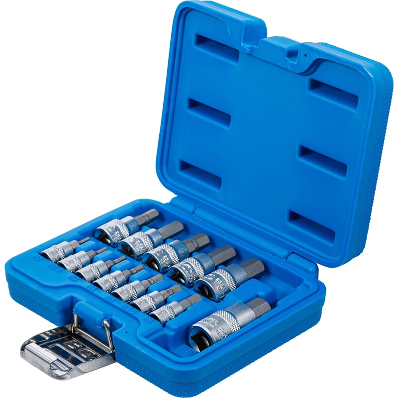 BGS 74257 Bit Socket Set, 6.3 mm (1/4) / 10 mm (3/ 8") / 12.5 mm (1/2") Drive, Internal Hexagon 2 - 1