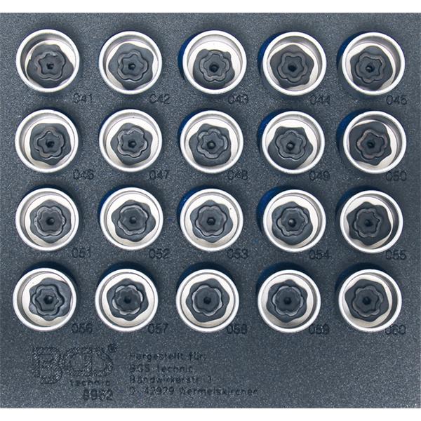 BGS 8962 Tool Tray 1/6: Rim Lock Socket Set for BM W, 20 pcs.