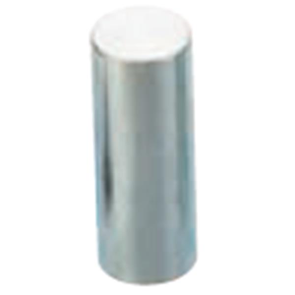 Vigor V4699-4 Press-Achse 50 x Ø 19 mm für V4699 