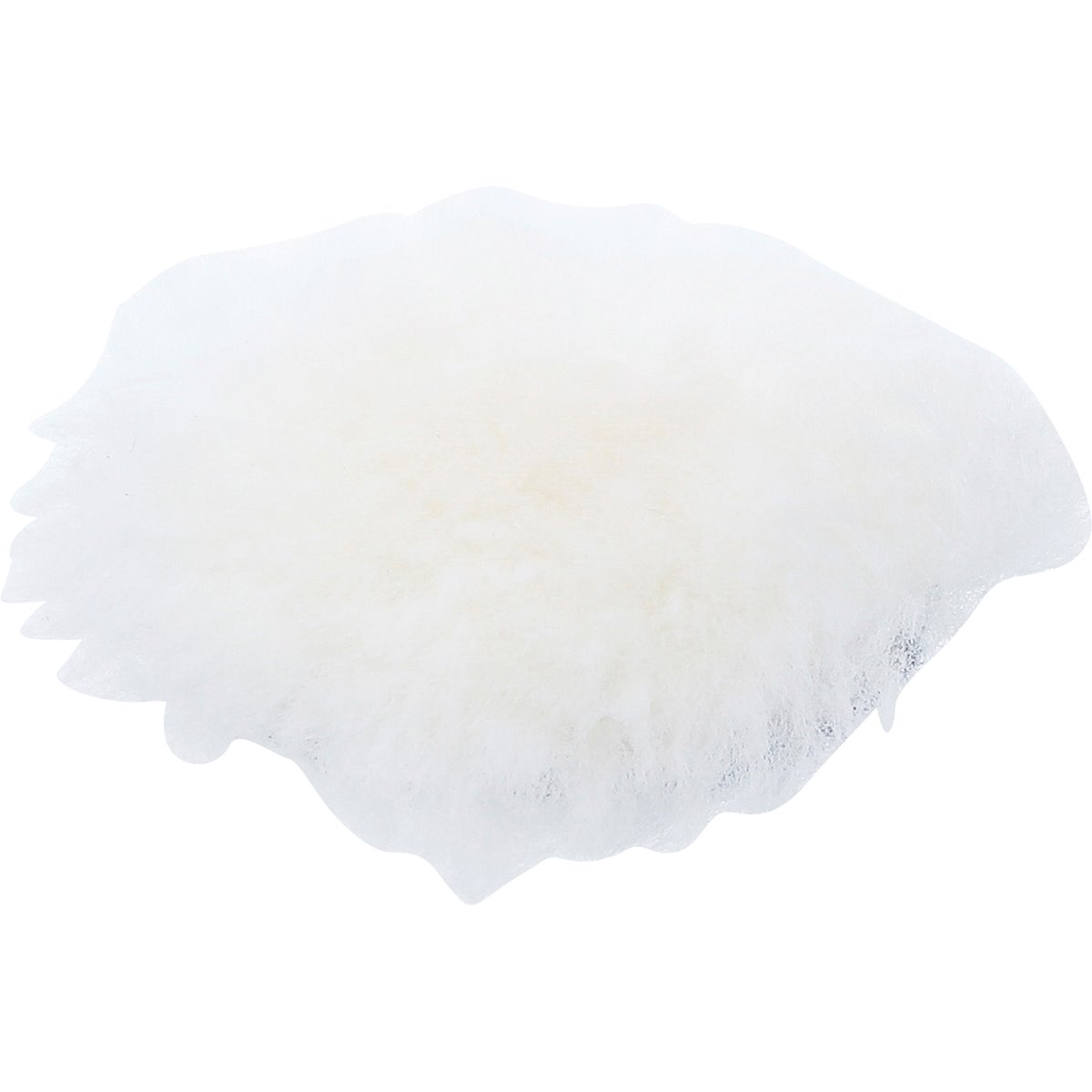 BGS 74479 Duster, Ø 75 mm 