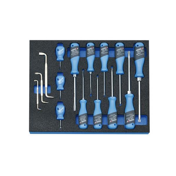 Gedore 2005 CT2-2160 Screwdriver set in 2/4 CT too l module, 15 pcs