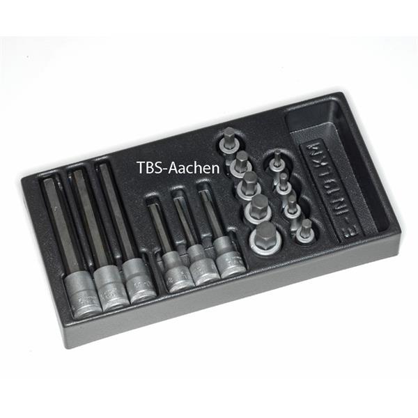 Gedore 1500 ES-IN 19 LKM Screwdriver bit socket se t 1/2" in 1/3 ES tool module